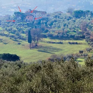 A Casa Della Nonna , Seano Italia